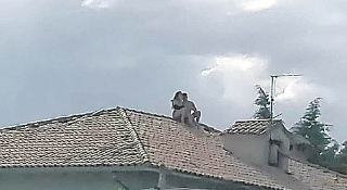 Courgnè - Selfie pericolosi sui tetti: identificati minorenni, l’appello della sindaca ai genitori