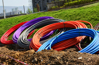 Chieri - Topi rosicchiano i cavi della fibra ottica: interi quartieri senza Internet da giorni