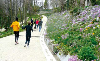 Rivoli - 260mila euro per il rilancio del Parco Margherita Hack: torna a nuova vita un polmone verde della città