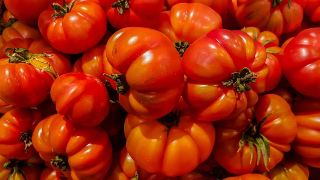 Cambiano - Torna la Sagra del Pomodoro Costoluto: un weekend tra gusto e divertimento