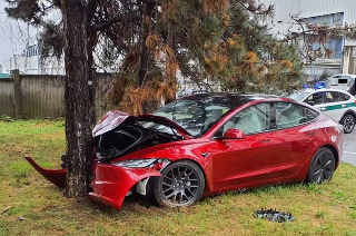 Rivoli - Tesla da test-drive si schianta contro un albero: tre ragazzi illesi