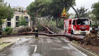 Torino - A causa del maltempo un ramo si abbatte su tre auto in corso Brianza: nessun ferito