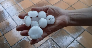 Maltempo: grandinate devastano coltivazioni nel Torinese