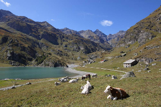 Usseglio - Cade in acqua con la bici al lago di Malciaussia: ciclista salvata, non è grave