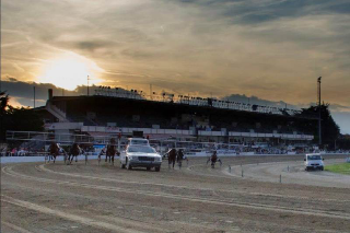 Vinovo - Partono le serate estive all’Ippodromo: luci, trotto e spettacolo da mercoledì 4 giugno