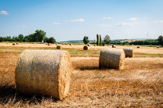 Lusernetta - Travolto da rotoballe di fieno nella cascina di famiglia: muore a 81 anni Mario Martina