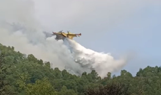 Caprie - Incendio boschivo in Val Susa: Vigili del Fuoco in azione