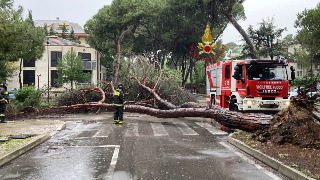 Settimo Torinese - Tromba d’aria: alberi abbattuti e disagi per il maltempo nel territorio
